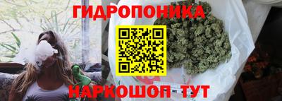 соль ск Тула