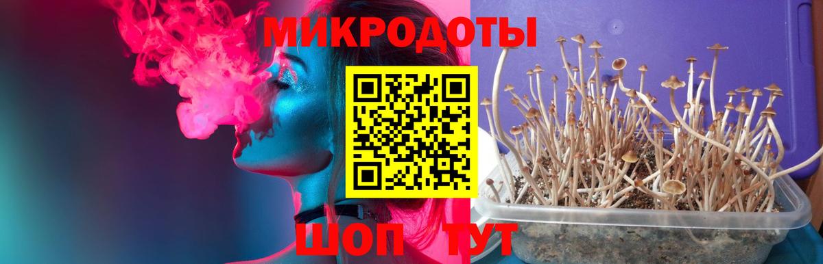 Ачинск  Псилоцибиновые грибы Cubensis  где найти наркотики  Вход с VPN 